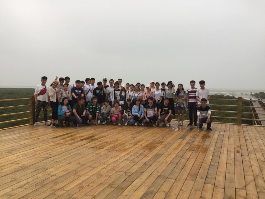 北海红树林保护区实习考察